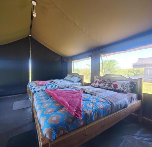 تختخواب و صبحانه Luxurious Haven Maasai Mara Safari Camp In Kenya