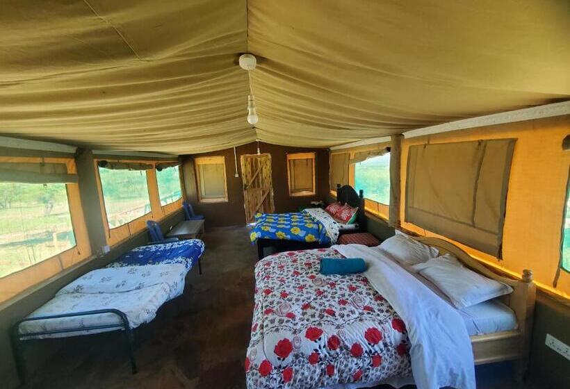 تختخواب و صبحانه Luxurious Haven Maasai Mara Safari Camp In Kenya