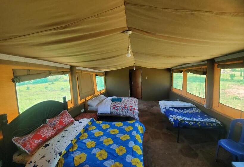 تختخواب و صبحانه Luxurious Haven Maasai Mara Safari Camp In Kenya