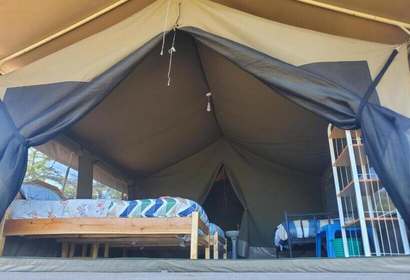 تختخواب و صبحانه Luxurious Haven Maasai Mara Safari Camp In Kenya