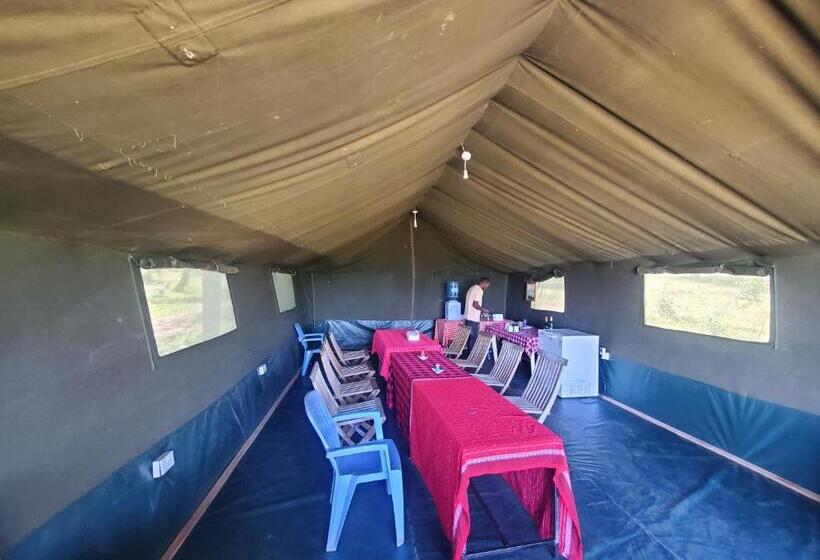 تختخواب و صبحانه Luxurious Haven Maasai Mara Safari Camp In Kenya
