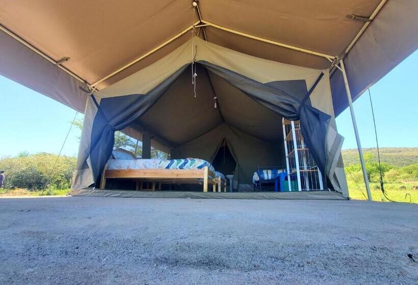 تختخواب و صبحانه Luxurious Haven Maasai Mara Safari Camp In Kenya