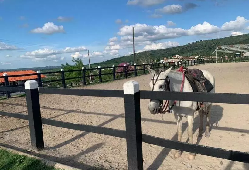 Gravatá Monte Castelo