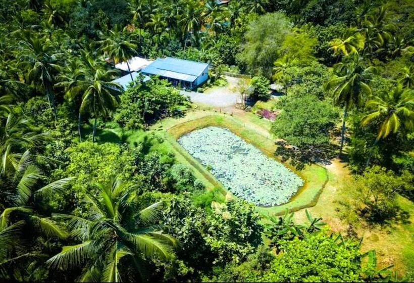 Отель Green View Safari Paradise