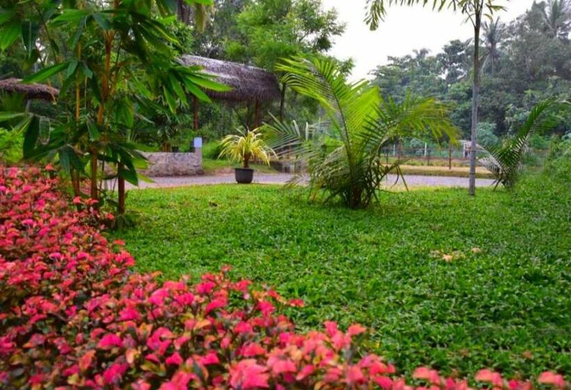 Отель Green View Safari Paradise