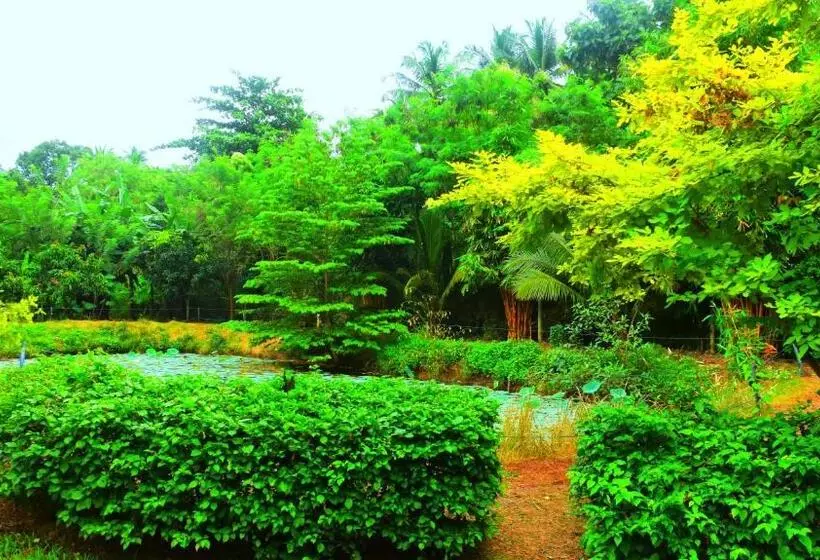 ホテル Green View Safari Paradise
