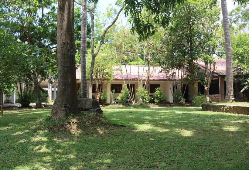בית מלון כפרי Holiday Inn Polonnaruwa
