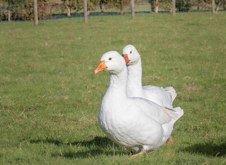 ペンション La Ferme Du Grand Air
