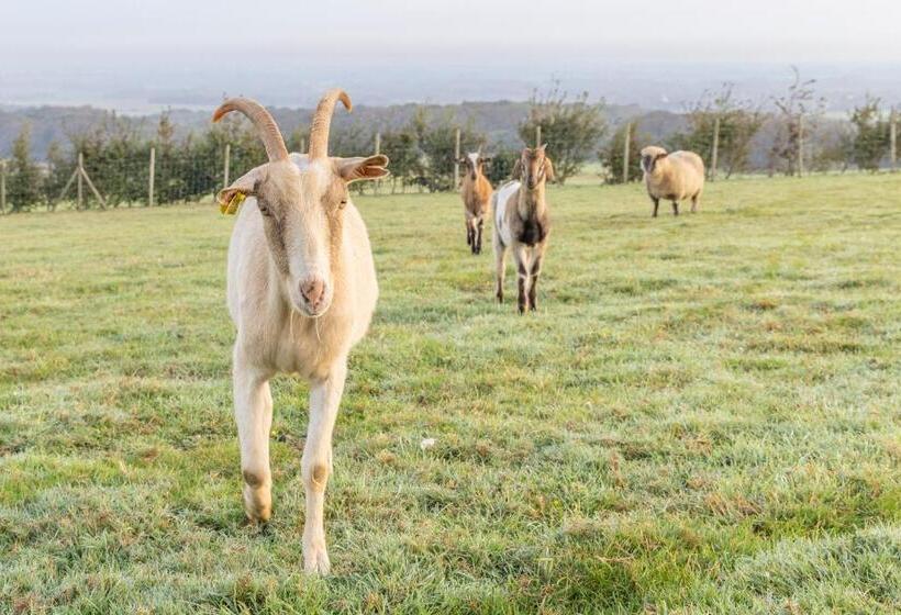 ペンション La Ferme Du Grand Air