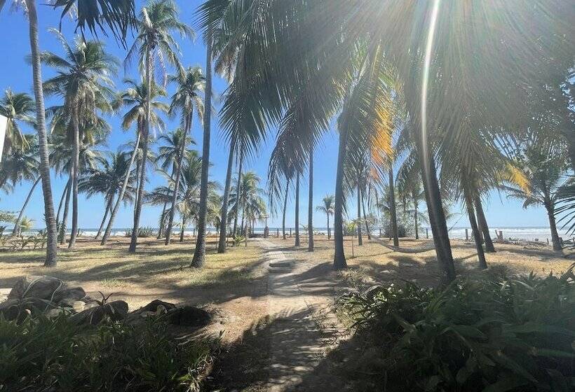 هاستل Sugarloaf Beach House & Surf Lodge