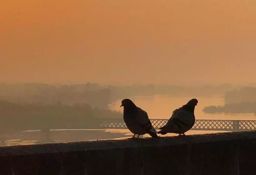 Aamiaismajoitus (B&B) Bulles De Loire
