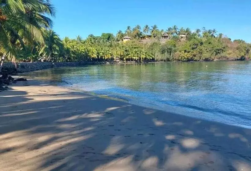 تختخواب و صبحانه Piscine Bimoko