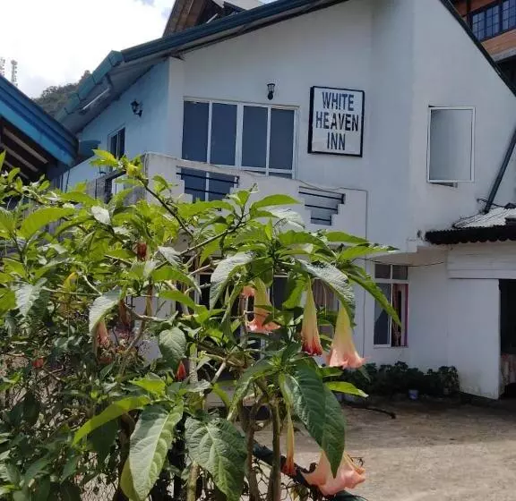 هتل New White Heven Inn