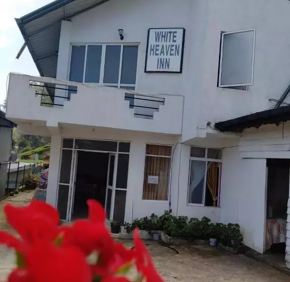 هتل New White Heven Inn