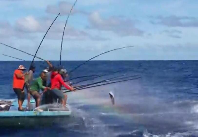 هتل Whaleshark Inn By Bedsnet