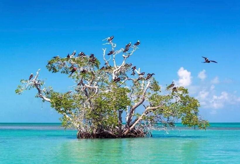 هتل Whaleshark Inn By Bedsnet