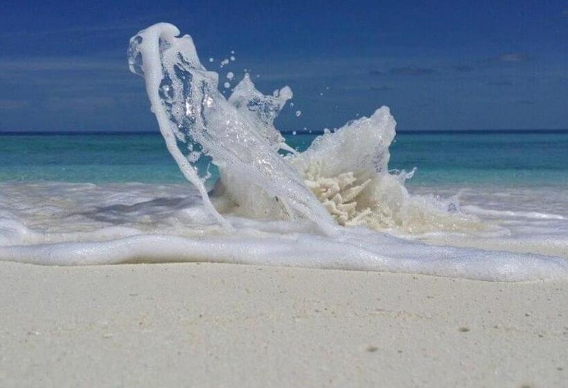 هتل Whaleshark Inn By Bedsnet