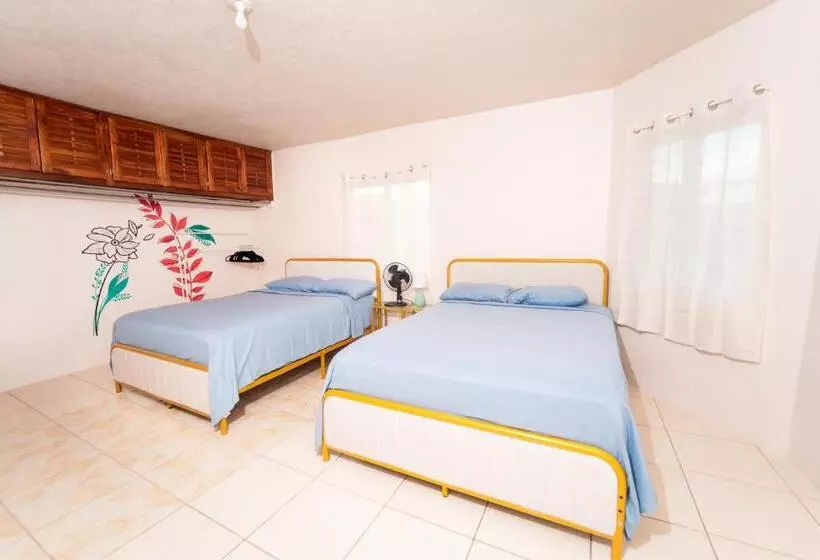 پانسیون Bell Air Seaview