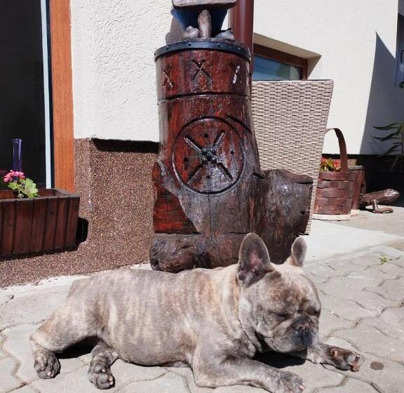 بنسيون Christian Residence