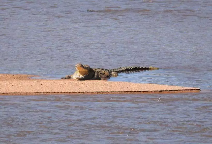 ペンション Kifaru Kruger