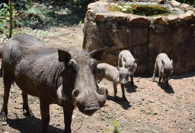 ペンション Kifaru Kruger