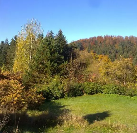 Pension Stiersbach