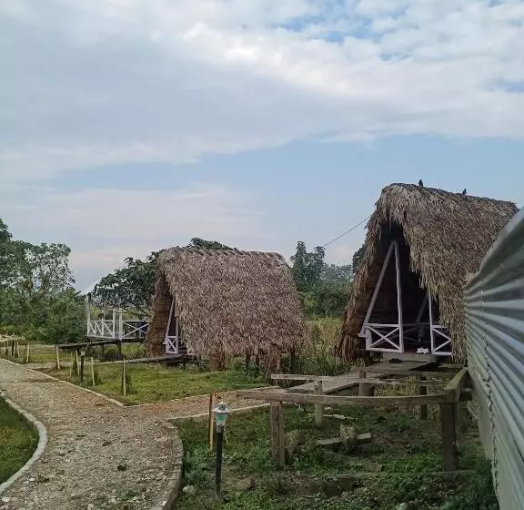 Wood Town Resort