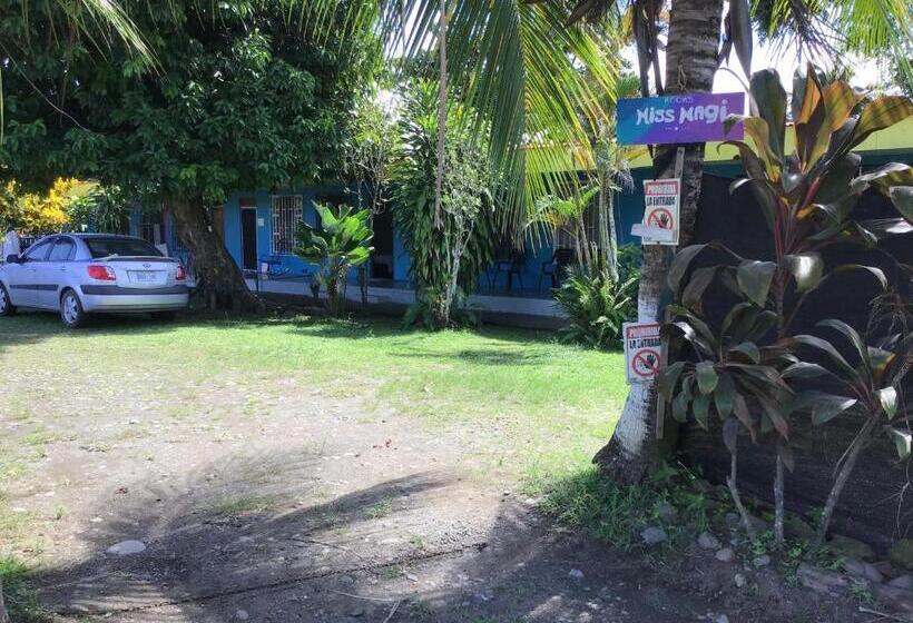 هاستل Palmera Rooms Caribe