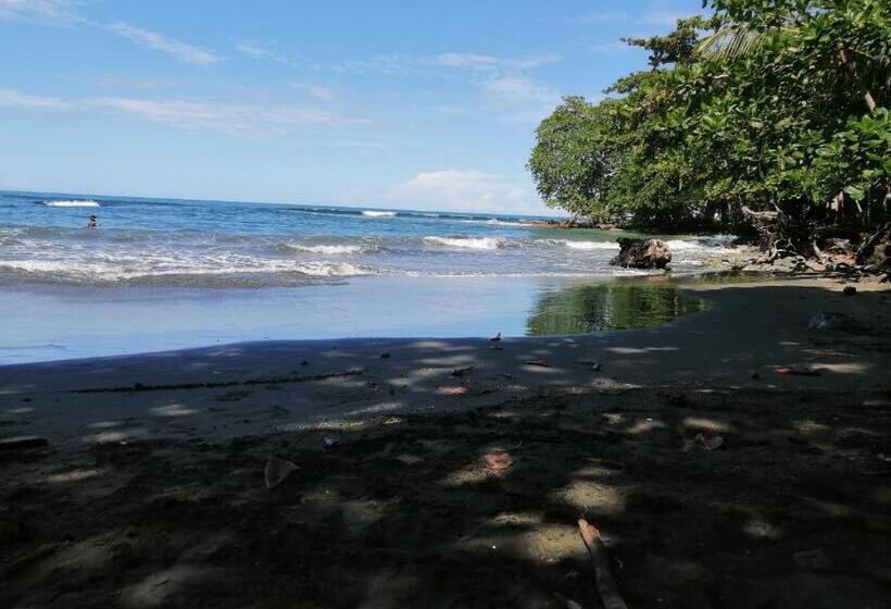 هاستل Palmera Rooms Caribe