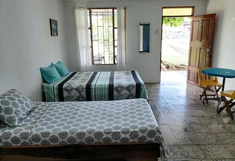 هاستل Palmera Rooms Caribe