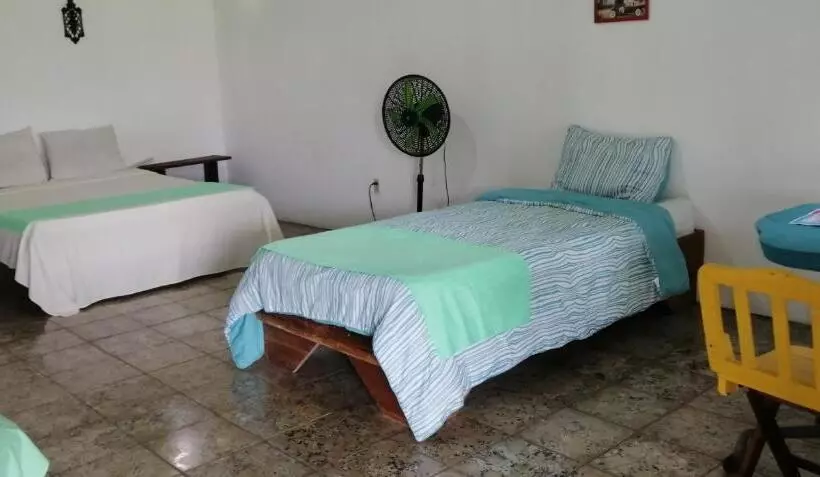 ユースホステル Palmera Rooms Caribe