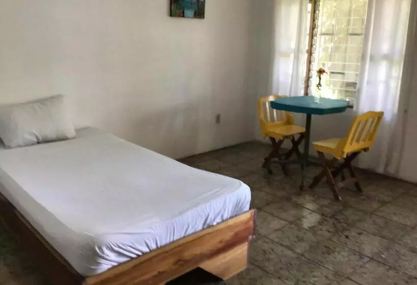 ユースホステル Palmera Rooms Caribe