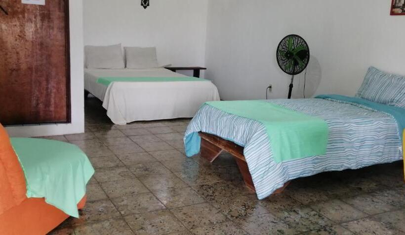هاستل Palmera Rooms Caribe