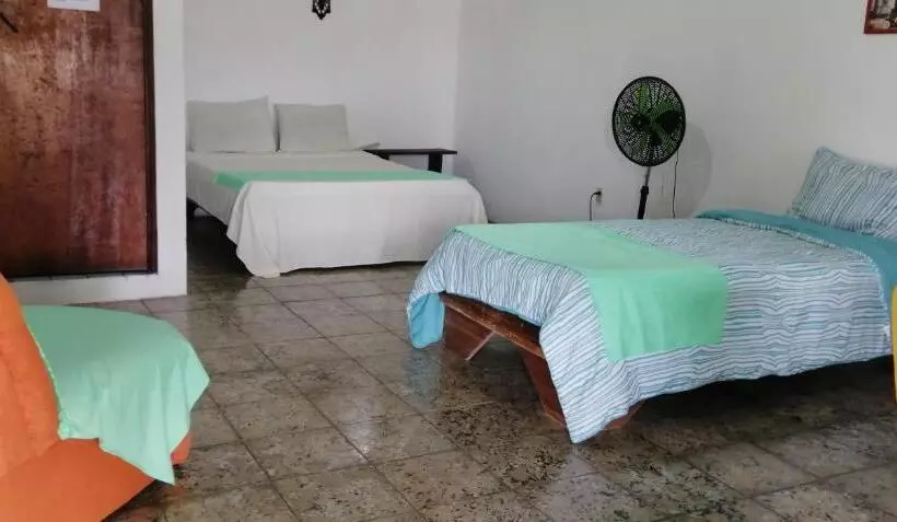 ユースホステル Palmera Rooms Caribe