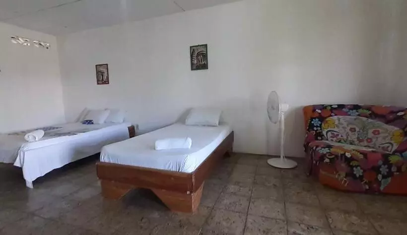 ユースホステル Palmera Rooms Caribe
