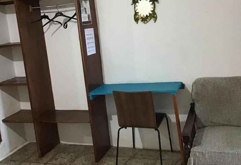 هاستل Palmera Rooms Caribe