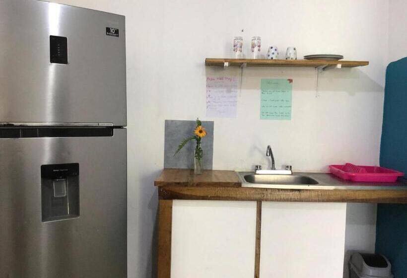 هاستل Palmera Rooms Caribe