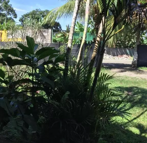 ユースホステル Palmera Rooms Caribe