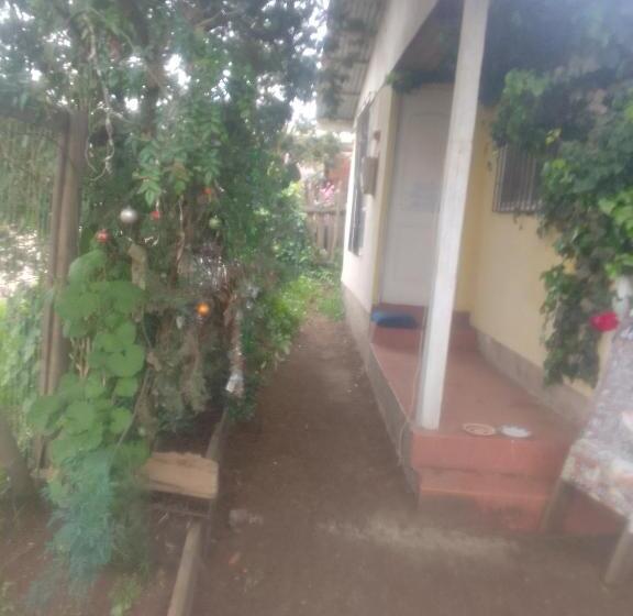 Albergue Solo Para Dormir Chocota Horcón