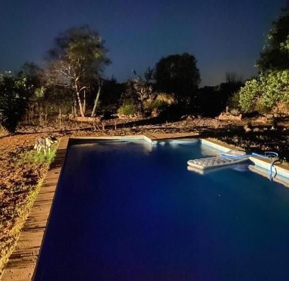 تختخواب و صبحانه Studio Doppelzimmer 2 Pers Mit Terrasse Und Pool Auf Finca Mallorca