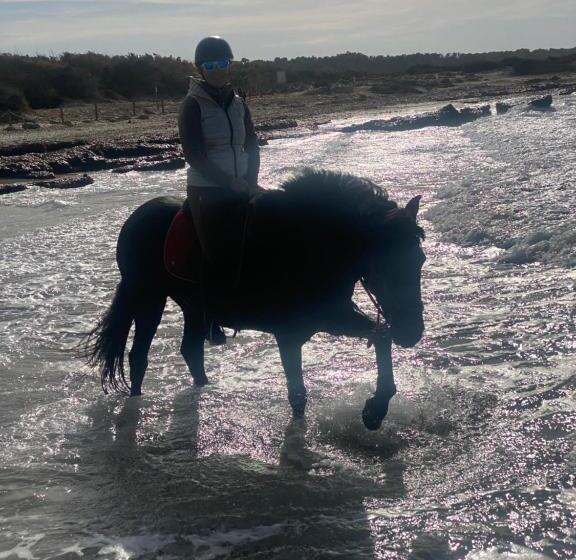 تختخواب و صبحانه Studio Doppelzimmer 2 Pers Mit Terrasse Und Pool Auf Finca Mallorca