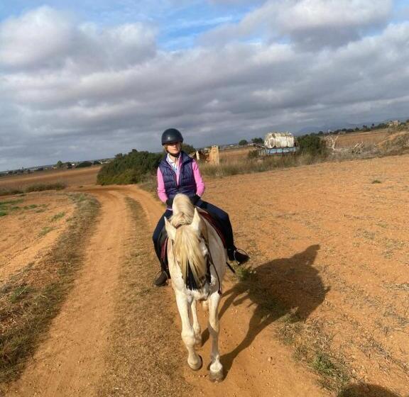 تختخواب و صبحانه Studio Doppelzimmer 2 Pers Mit Terrasse Und Pool Auf Finca Mallorca