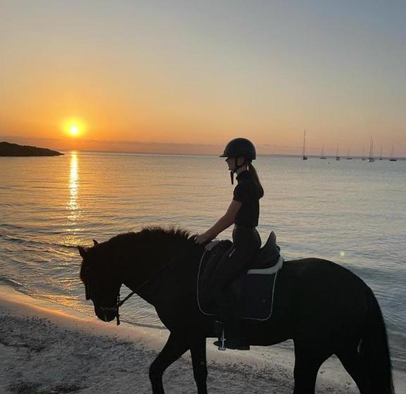 تختخواب و صبحانه Studio Doppelzimmer 2 Pers Mit Terrasse Und Pool Auf Finca Mallorca