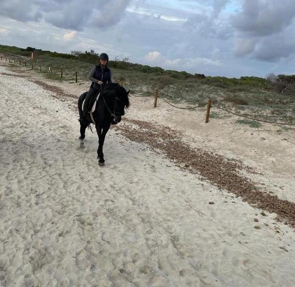 تختخواب و صبحانه Studio Doppelzimmer 2 Pers Mit Terrasse Und Pool Auf Finca Mallorca