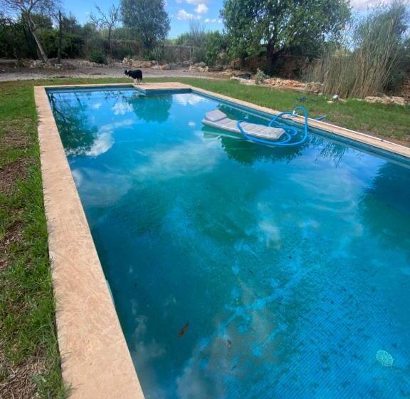 تختخواب و صبحانه Studio Doppelzimmer 2 Pers Mit Terrasse Und Pool Auf Finca Mallorca