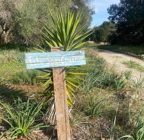 تختخواب و صبحانه Studio Doppelzimmer 2 Pers Mit Terrasse Und Pool Auf Finca Mallorca