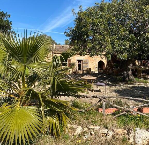 تختخواب و صبحانه Studio Doppelzimmer 2 Pers Mit Terrasse Und Pool Auf Finca Mallorca