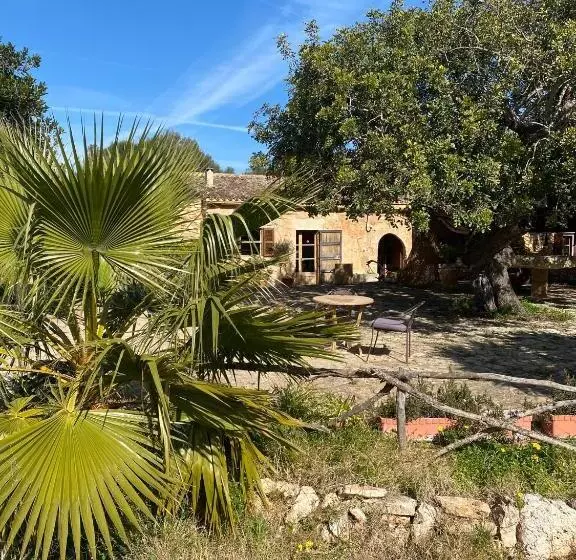 ベッドアンドブレックファースト Studio Doppelzimmer 2 Pers Mit Terrasse Und Pool Auf Finca Mallorca