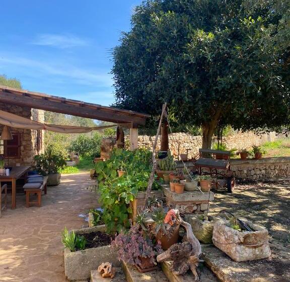تختخواب و صبحانه Studio Doppelzimmer 2 Pers Mit Terrasse Und Pool Auf Finca Mallorca