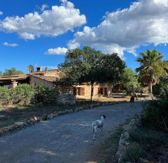 تختخواب و صبحانه Studio Doppelzimmer 2 Pers Mit Terrasse Und Pool Auf Finca Mallorca